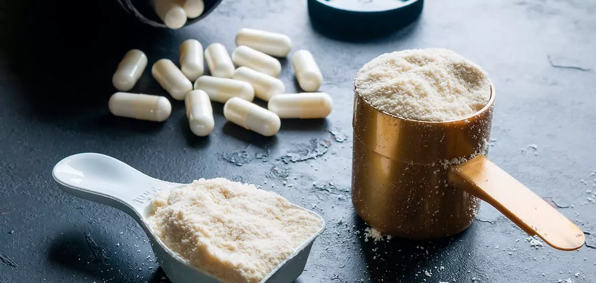 Виды протеиновых добавок